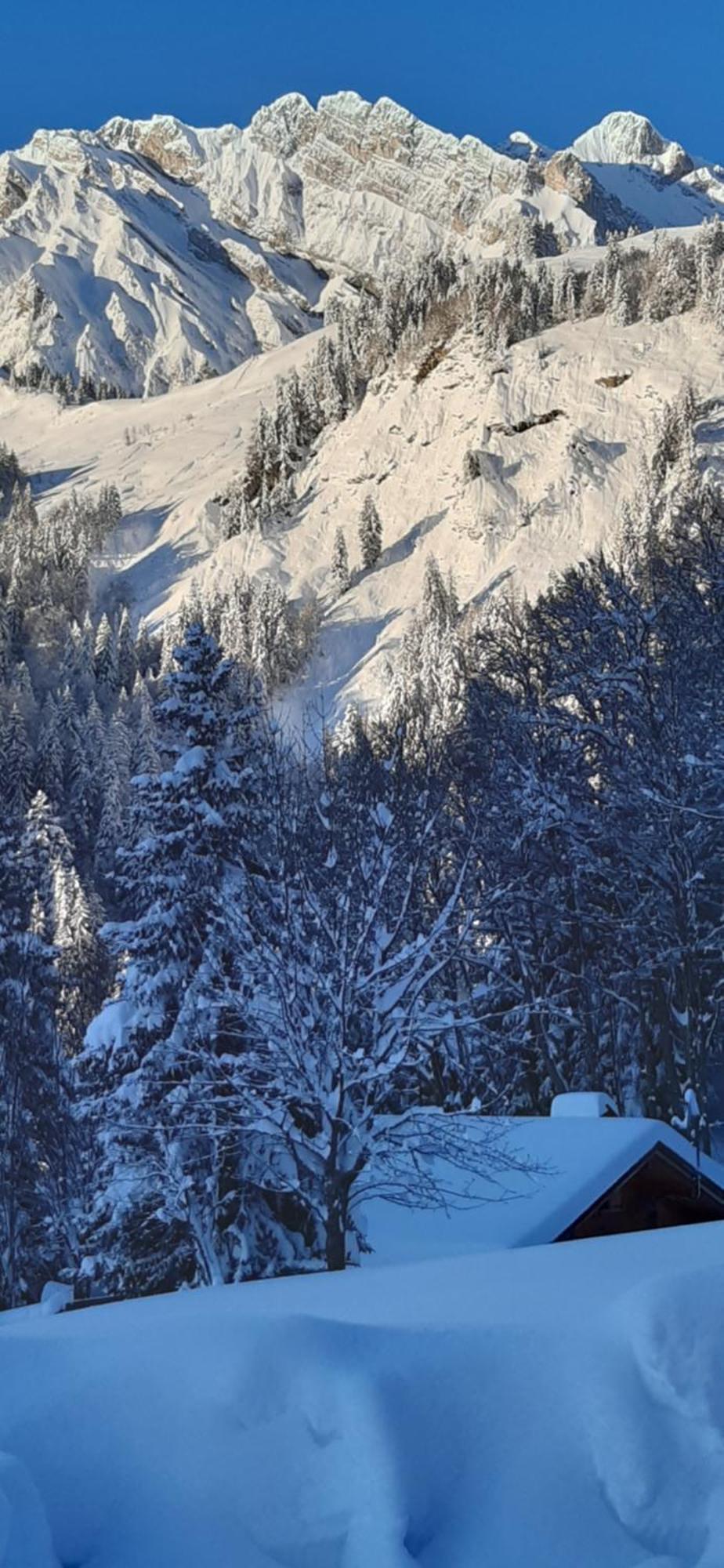 Chalet L'Armoy La Giettaz Exterior foto